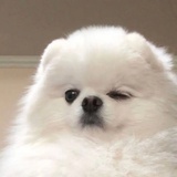 12345
