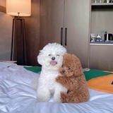 只想发财