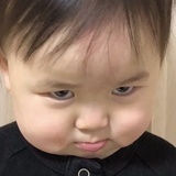 不知名连某
