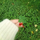 榴莲菠萝蜜