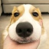 清风徐徐い