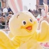 今天也不加糖