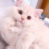 用力奔赴未知