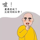莲莲太佛系啦