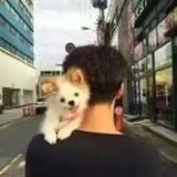 清、