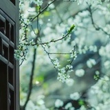 惊蛰