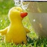 728