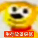 二婚丈夫是同