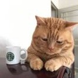 一懵