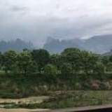 草上飞