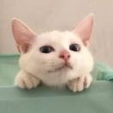 代基里