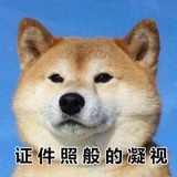 半东