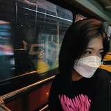 阿布扎比花木兰