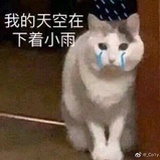 毛毛猫