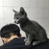 南城旧事