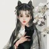 天降黑猫