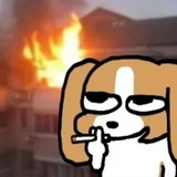李是什么