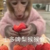 什么东西啊