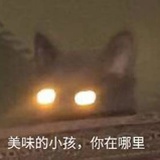 宝娟我的嗓子