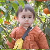 豆友202615671
