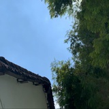 月月格格