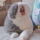 乙乙
