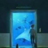 🐟