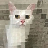 一一一一一——