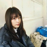 清纯佳人白玫瑰