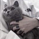 徐小雨
