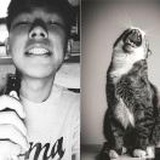 小猫🐱