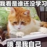 子曰