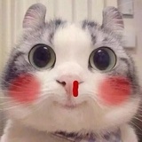 上岸