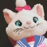 可以每天吃蛋糕