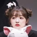 骚日白