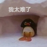 你治治吧