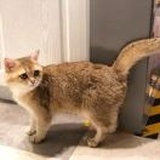 暖气房里吃冰棍