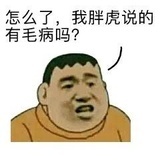 胖虎