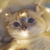 豆友202702950