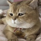 简简单单LOVE