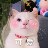 淡漠的nn