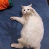 崽今天吃饱了吗
