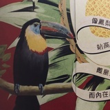 瀧曦