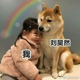 瓜瓜