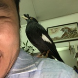 嘿嘿哈嘿