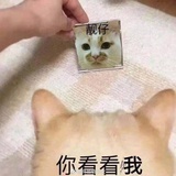 人生甜长