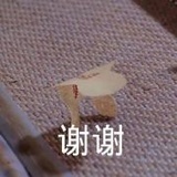 赵赵赵