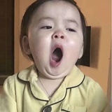 骂我的都是傻子