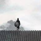 涵斋门下走狗杨