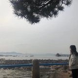 派特